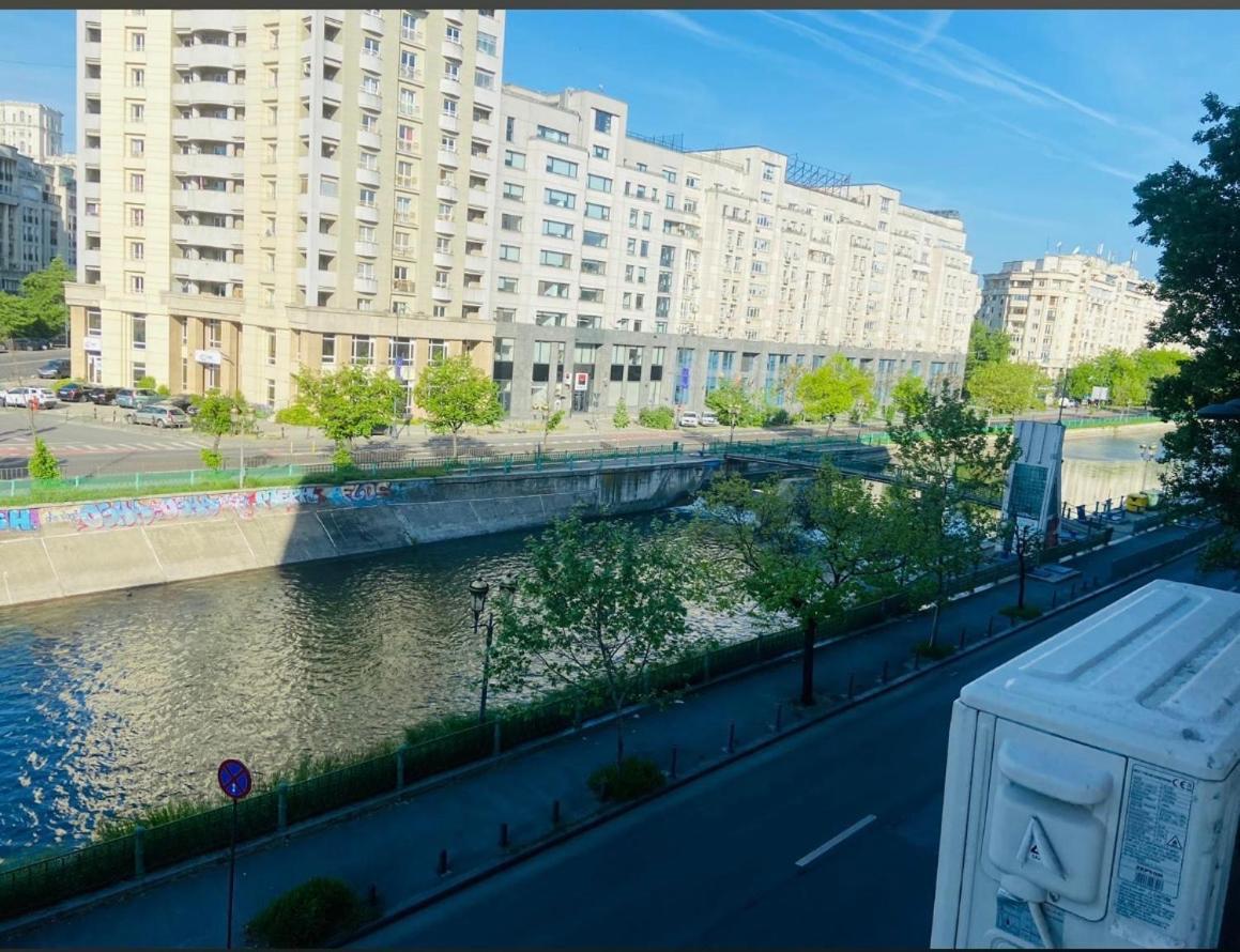Studio Confort 布加勒斯特 外观 照片